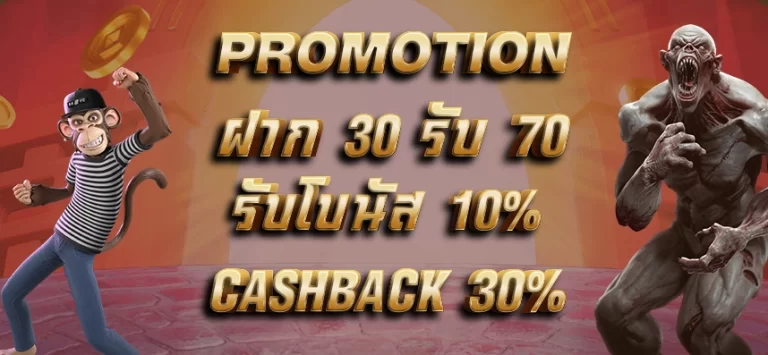 Promotion metalslot